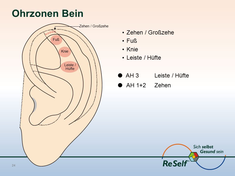 Ohrzonen Bein Zehen / Großzehe Fuß Knie Leiste / Hüfte