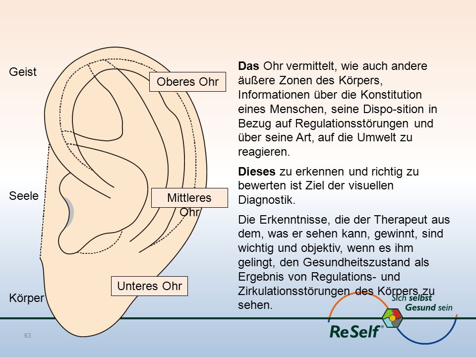 Das Ohr vermittelt, wie auch andere äußere Zonen des Körpers, Informationen über die Konstitution eines Menschen, seine Dispo-sition in Bezug auf Regulationsstörungen und über seine Art, auf die Umwelt zu reagieren. Dieses zu erkennen und richtig zu bewerten ist Ziel der visuellen Diagnostik. Die Erkenntnisse, die der Therapeut aus dem, was er sehen kann, gewinnt, sind wichtig und objektiv, wenn es ihm gelingt, den Gesundheitszustand als Ergebnis von Regulations- und Zirkulationsstörungen des Körpers zu sehen.
