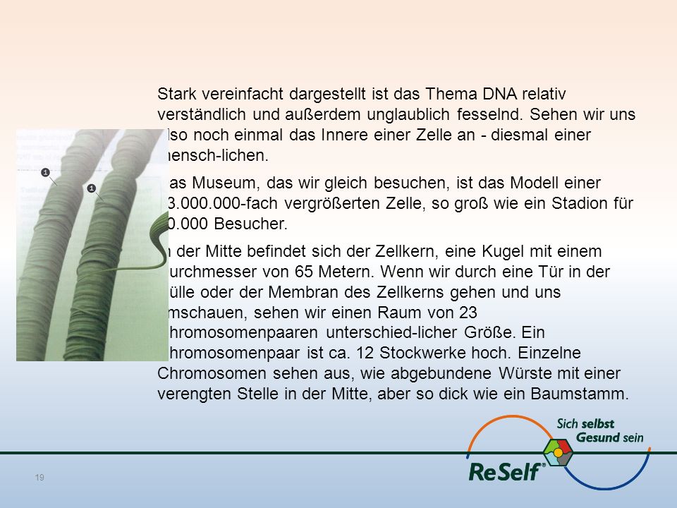 Stark vereinfacht dargestellt ist das Thema DNA relativ verständlich und außerdem unglaublich fesselnd.