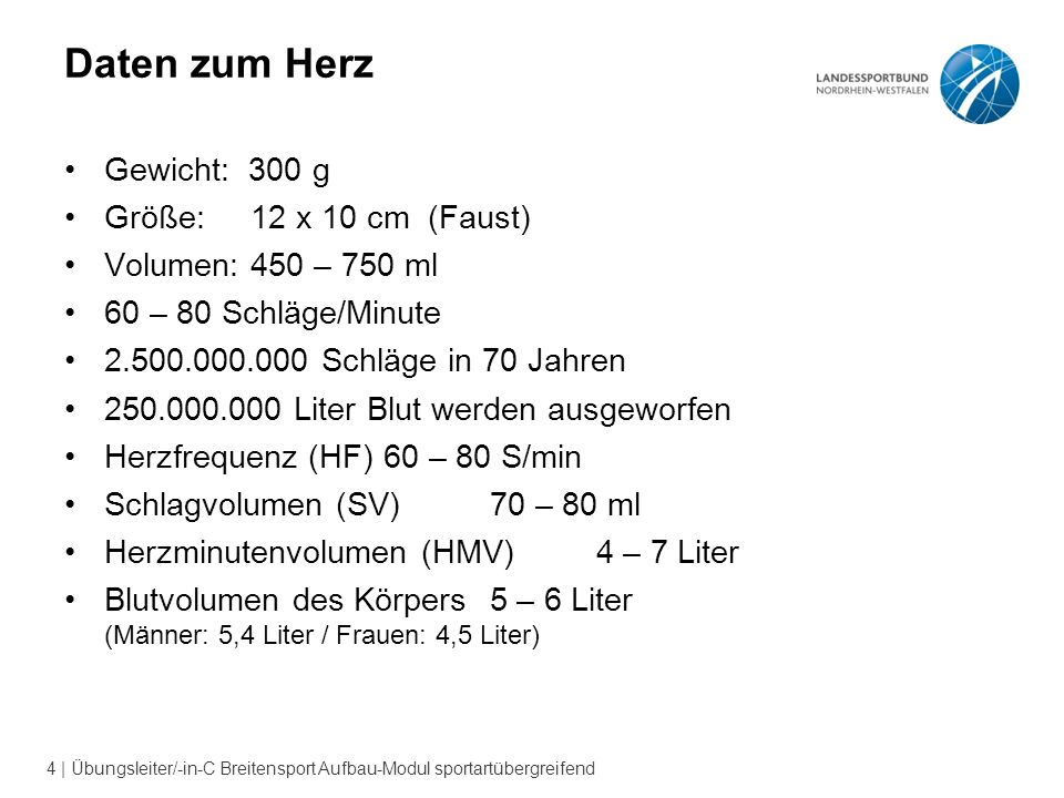 Daten zum Herz Gewicht: 300 g Größe: 12 x 10 cm (Faust)