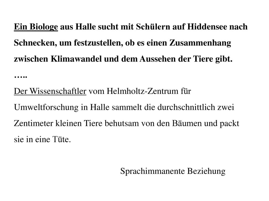 Ein Biologe aus Halle sucht mit Schülern auf Hiddensee nach Schnecken, um festzustellen, ob es einen Zusammenhang zwischen Klimawandel und dem Aussehen der Tiere gibt.