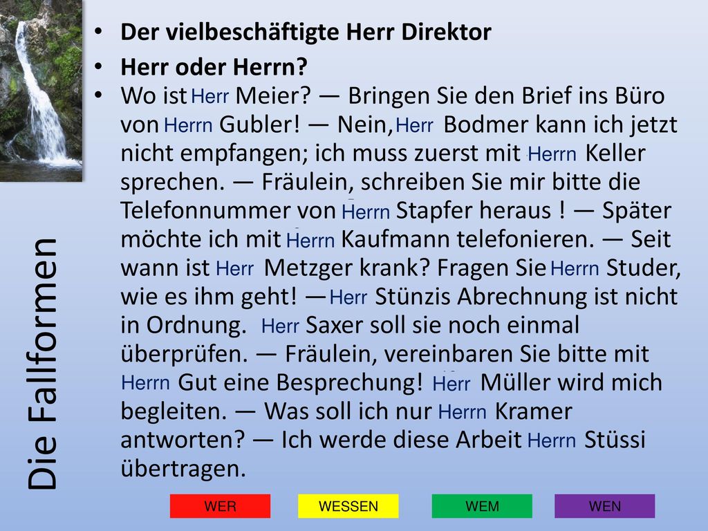 Die Fallformen Der vielbeschäftigte Herr Direktor Herr oder Herrn