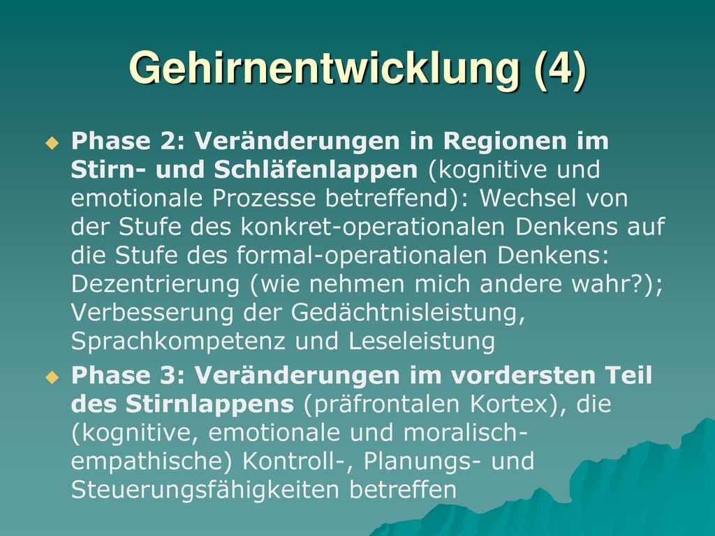 Gehirnentwicklung (4)