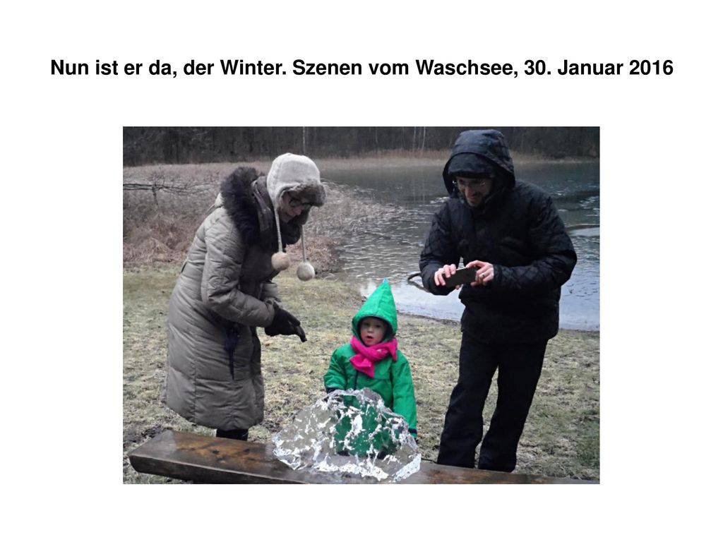 Nun ist er da, der Winter. Szenen vom Waschsee, 30. Januar 2016