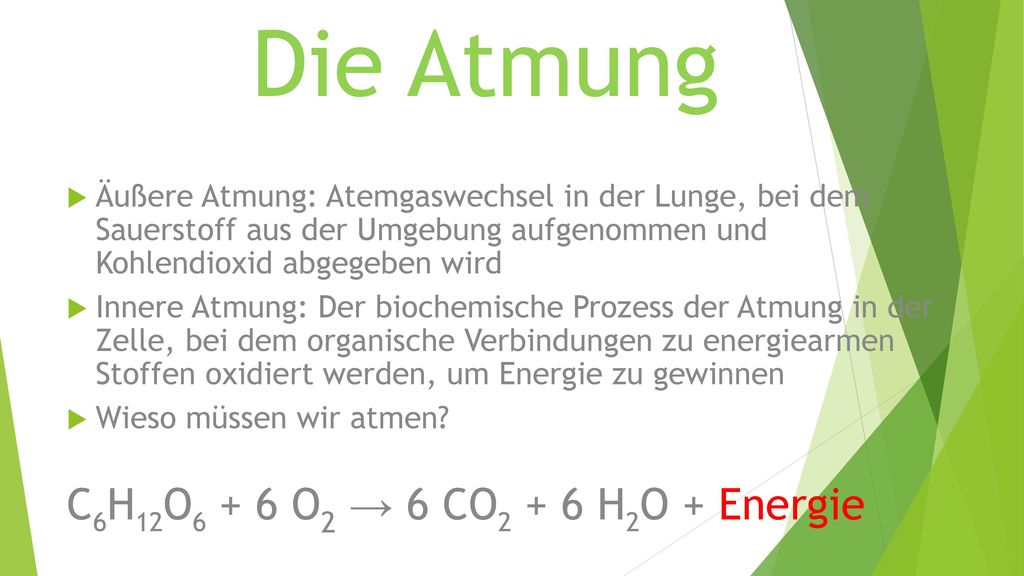 Die Atmung C6H12O6 + 6 O2 → 6 CO2 + 6 H2O + Energie
