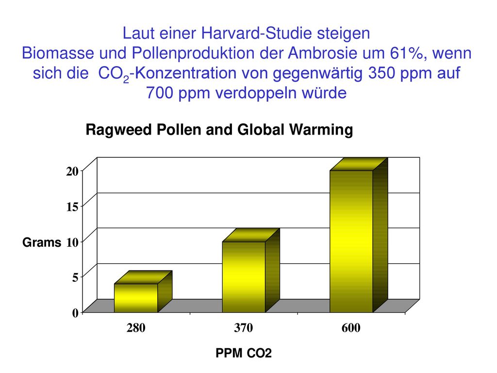Laut einer Harvard-Studie steigen Biomasse und Pollenproduktion der Ambrosie um 61%, wenn sich die CO2-Konzentration von gegenwärtig 350 ppm auf 700 ppm verdoppeln würde