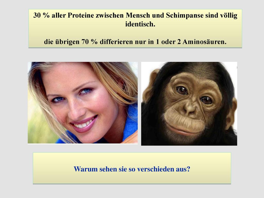 die übrigen 70 % differieren nur in 1 oder 2 Aminosäuren.