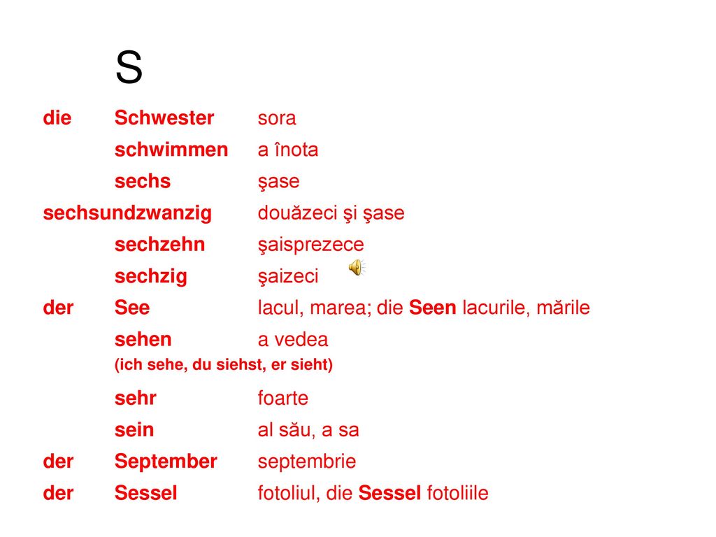 S die Schwester sora schwimmen a înota sechs şase