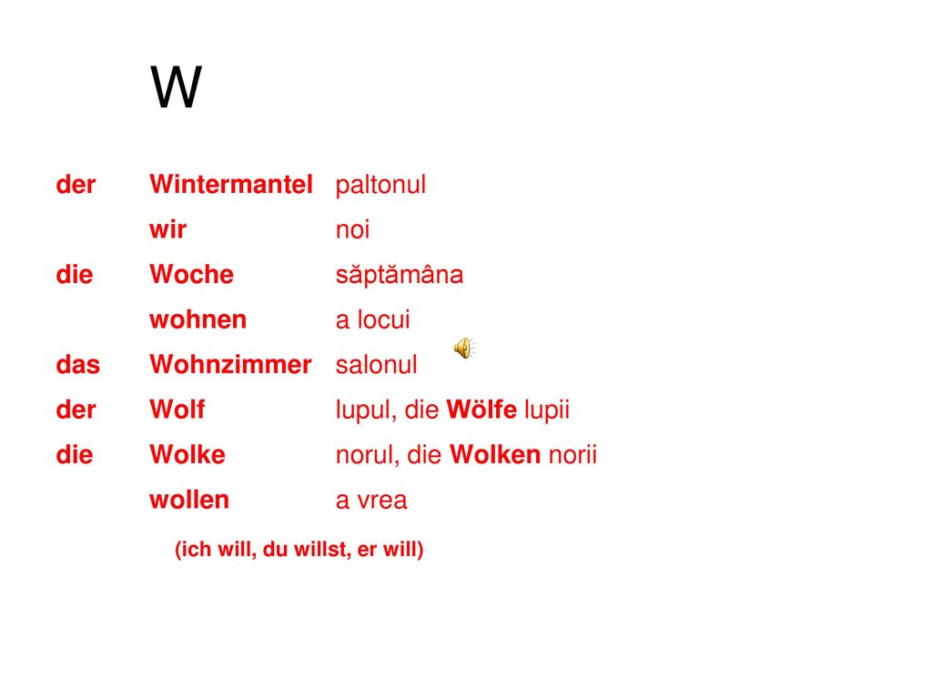 W (ich will, du willst, er will) der Wintermantel paltonul wir noi