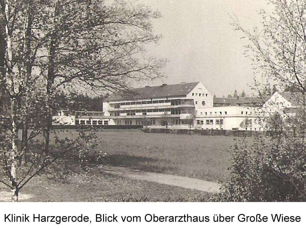 Klinik Harzgerode, Blick vom Oberarzthaus über Große Wiese