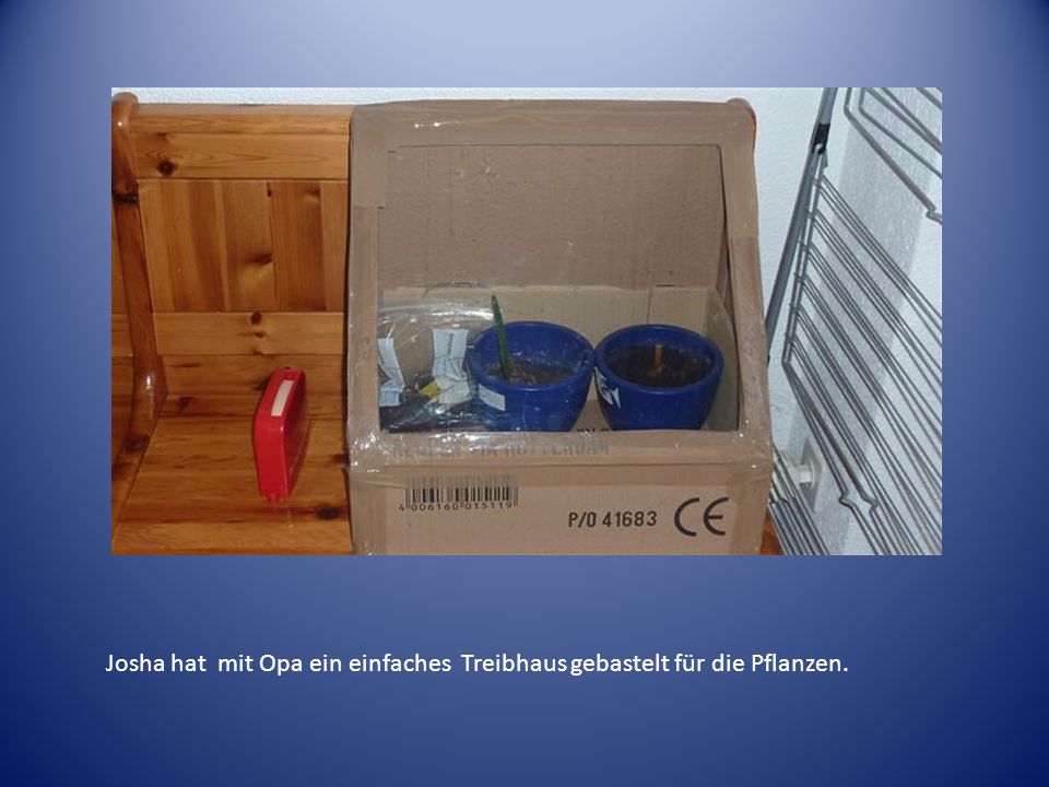 Josha hat mit Opa ein einfaches Treibhaus gebastelt für die Pflanzen.