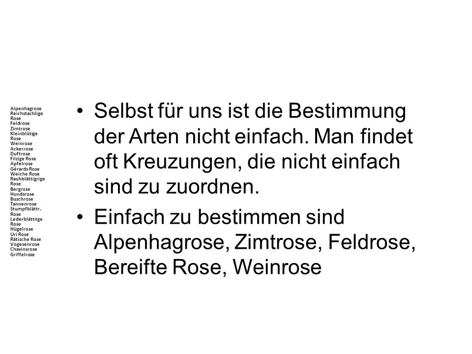 Alpenhagrose Reichstachlige Rose Feldrose Zimtrose Kleinblütige Rose Weinrose Ackerrose Duftrose Filzige Rose Apfelrose Gérards Rose Weiche Rose Rauhblättigrige Rose Bergrose Hundsrose Buschrose Tannenrose Stumpfblättr. Rose Lederblättrige Rose Hügelrose Uri Rose Rätische Rose Vogesenrose Chavinsrose Griffelrose