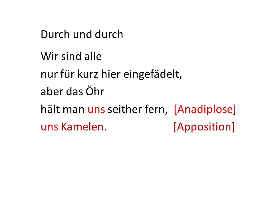 Durch und durch Wir sind alle nur für kurz hier eingefädelt, aber das Öhr hält man uns seither fern, [Anadiplose] uns Kamelen.