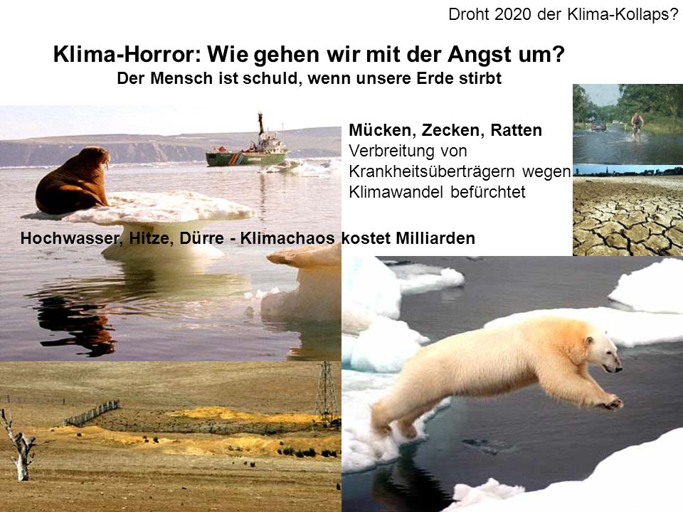 Klima-Horror: Wie gehen wir mit der Angst um