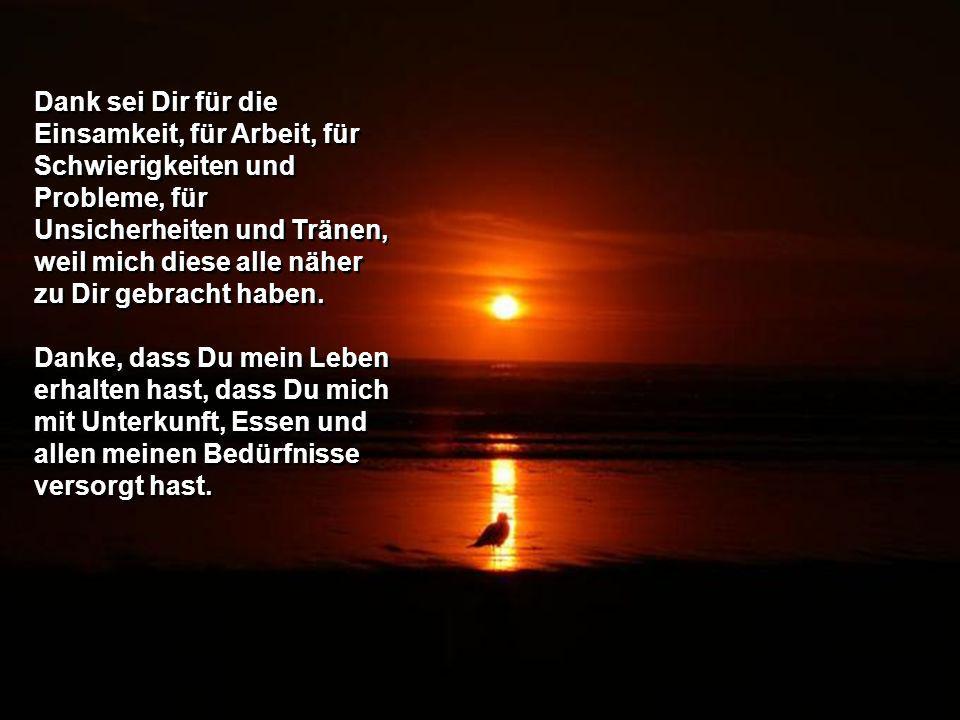 Dank sei Dir für die Einsamkeit, für Arbeit, für Schwierigkeiten und Probleme, für Unsicherheiten und Tränen, weil mich diese alle näher zu Dir gebracht haben.