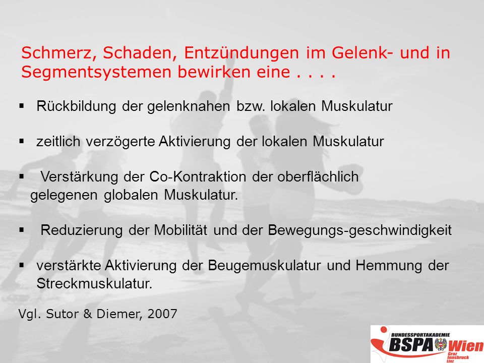 Schmerz, Schaden, Entzündungen im Gelenk- und in Segmentsystemen bewirken eine
