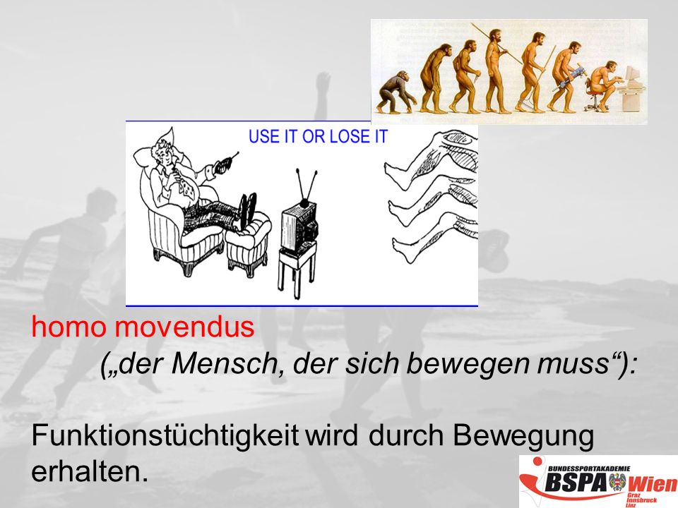 homo movendus („der Mensch, der sich bewegen muss ): Funktionstüchtigkeit wird durch Bewegung.