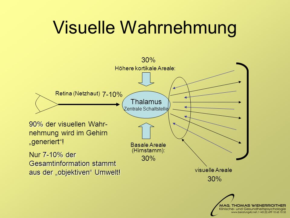 Visuelle Wahrnehmung 30% 7-10% Thalamus