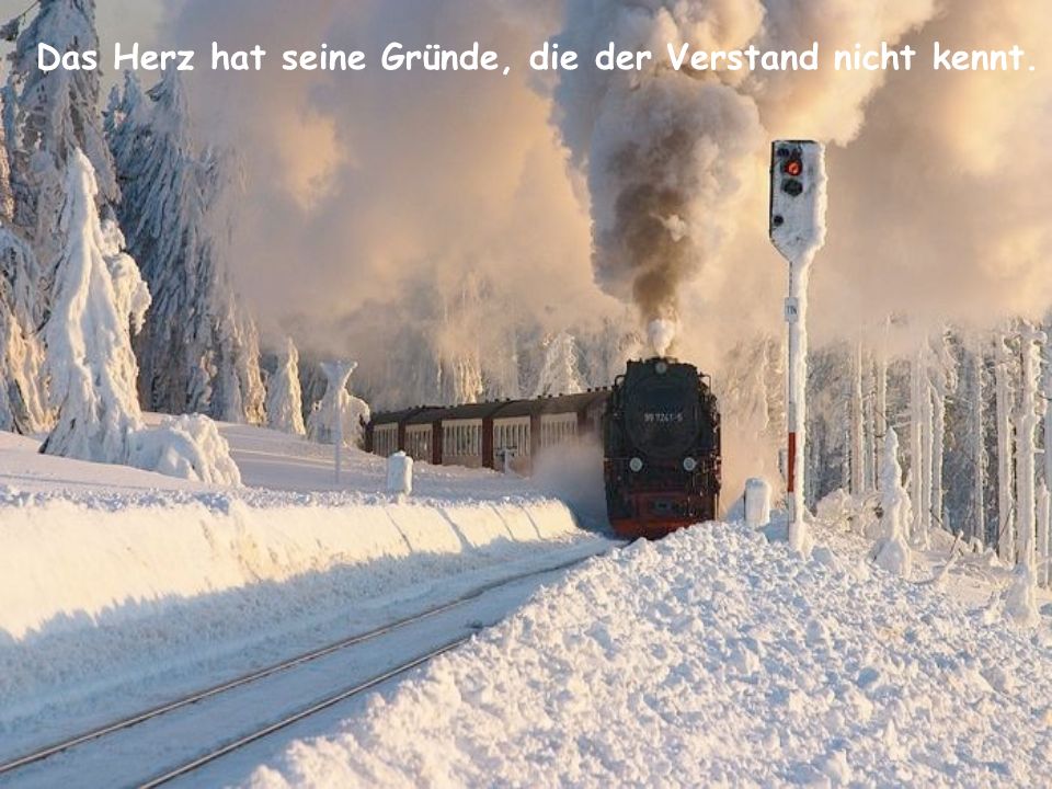 Das Herz hat seine Gründe, die der Verstand nicht kennt.
