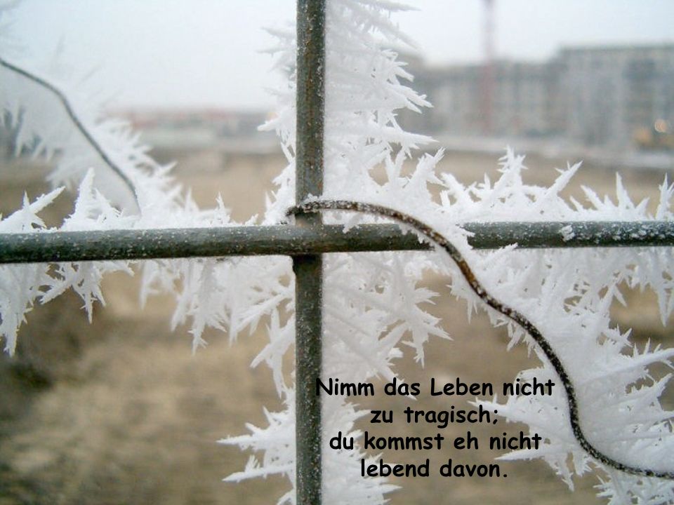 Nimm das Leben nicht zu tragisch; du kommst eh nicht lebend davon.