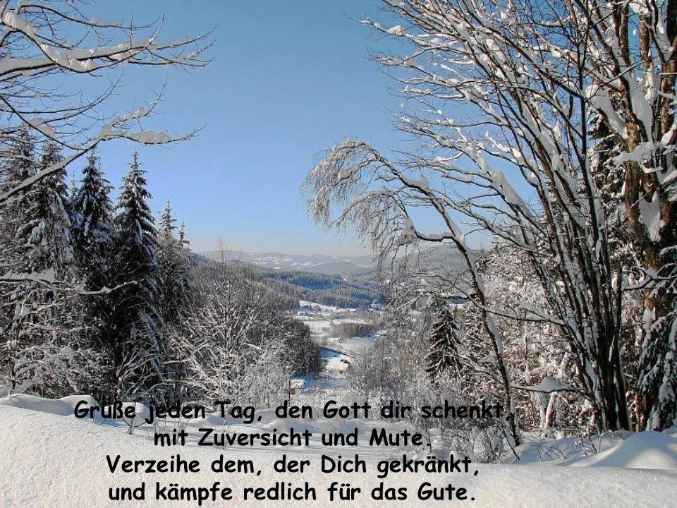 Grüße jeden Tag, den Gott dir schenkt,
