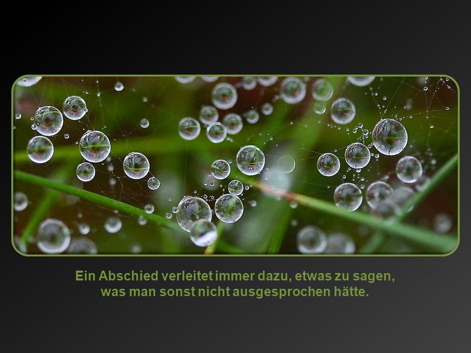 Ein Abschied verleitet immer dazu, etwas zu sagen, was man sonst nicht ausgesprochen hätte.