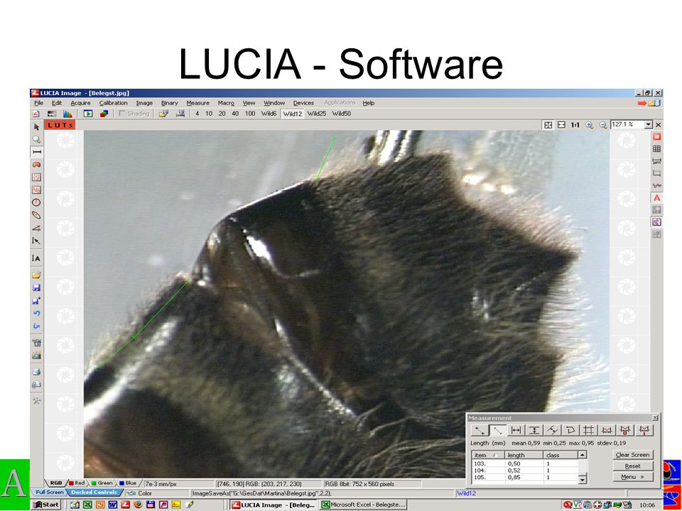 LUCIA - Software
