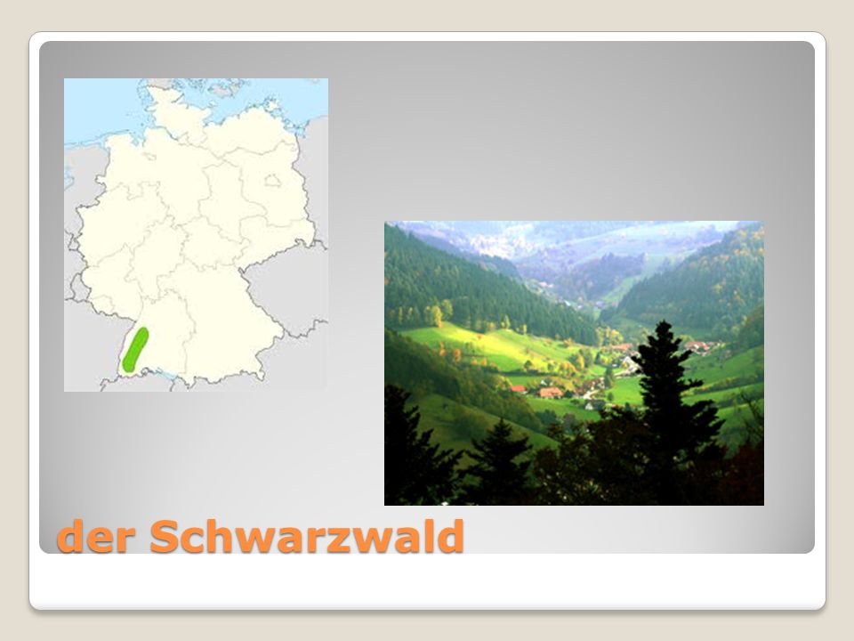 der Schwarzwald