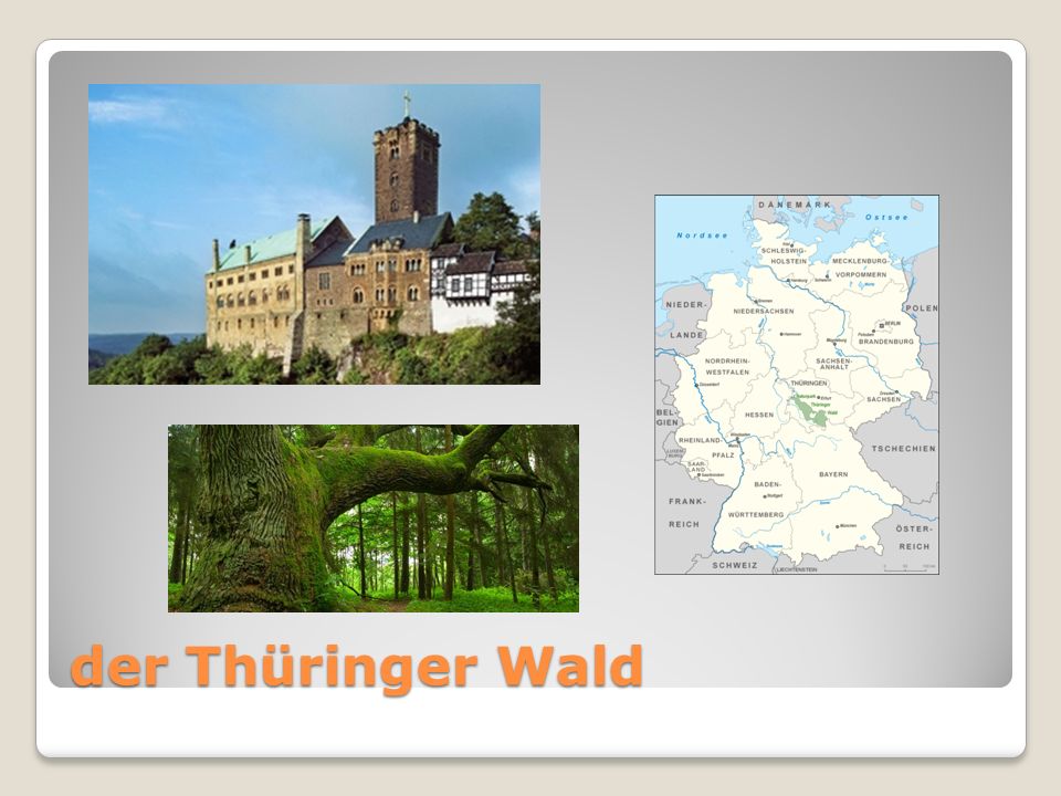 der Thüringer Wald