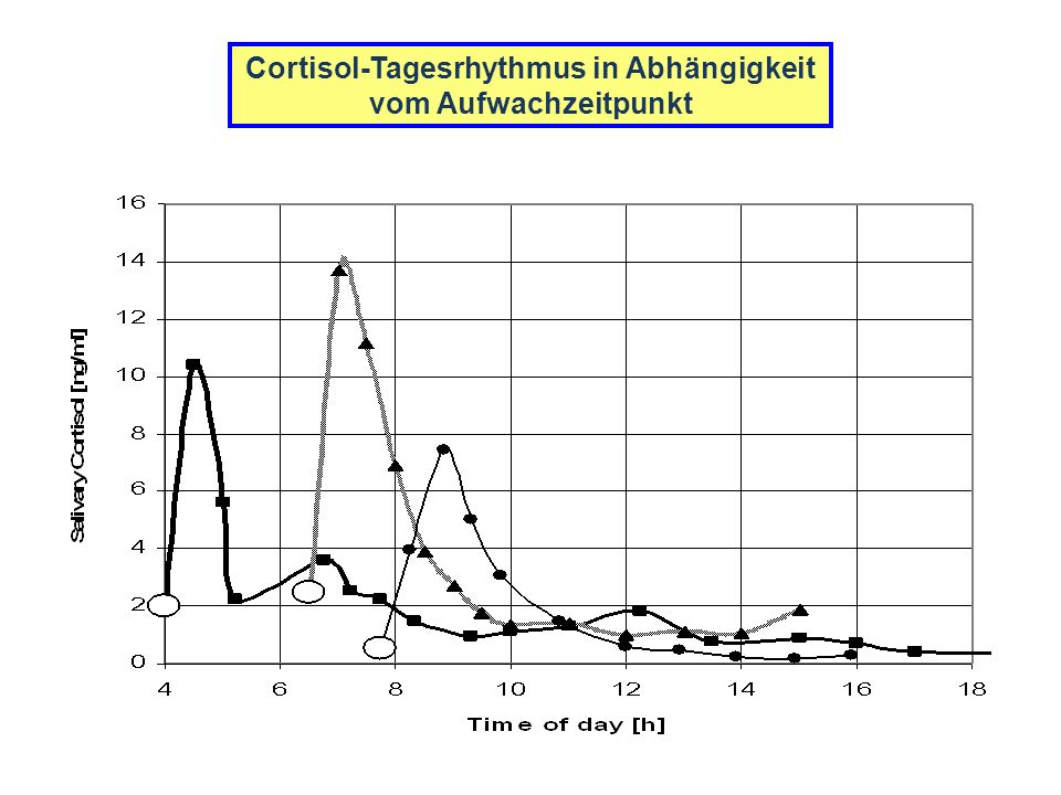 Cortisol-Tagesrhythmus in Abhängigkeit vom Aufwachzeitpunkt