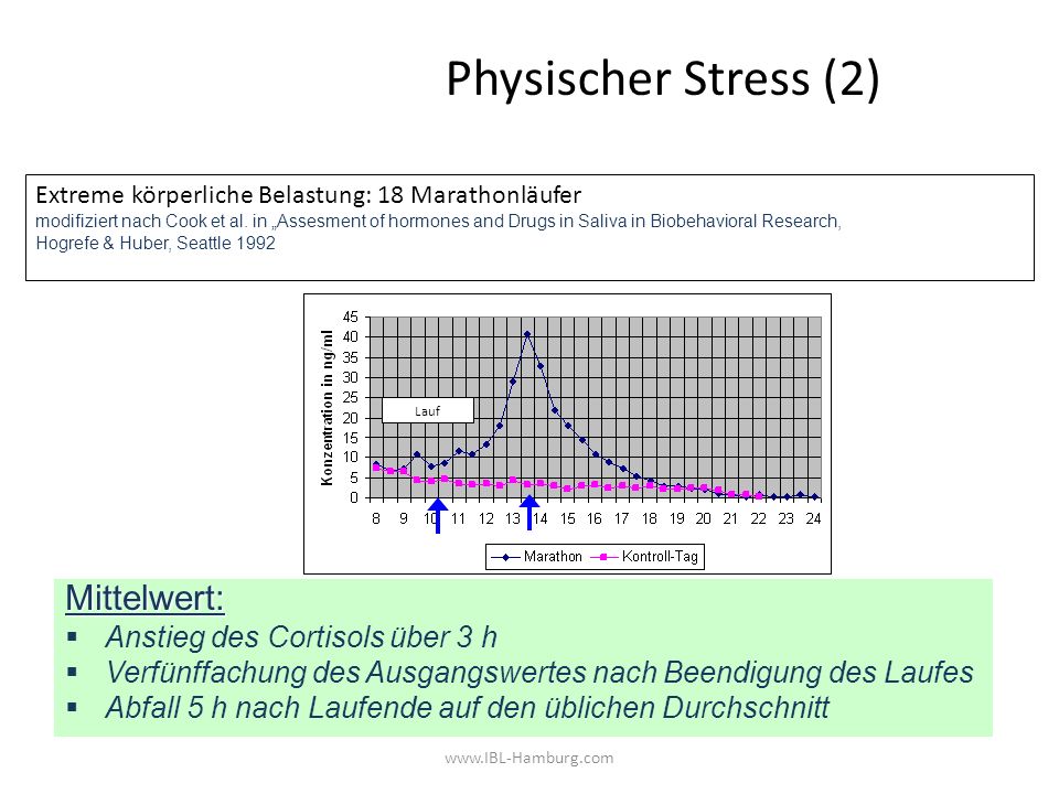 Physischer Stress (2) Mittelwert: Anstieg des Cortisols über 3 h
