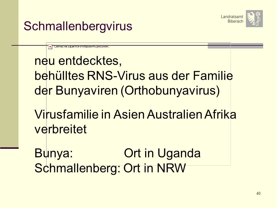 Schmallenbergvirus neu entdecktes, behülltes RNS-Virus aus der Familie der Bunyaviren (Orthobunyavirus)