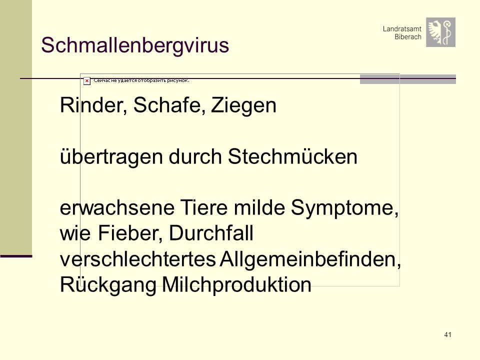 Schmallenbergvirus Rinder, Schafe, Ziegen. übertragen durch Stechmücken. erwachsene Tiere milde Symptome, wie Fieber, Durchfall.