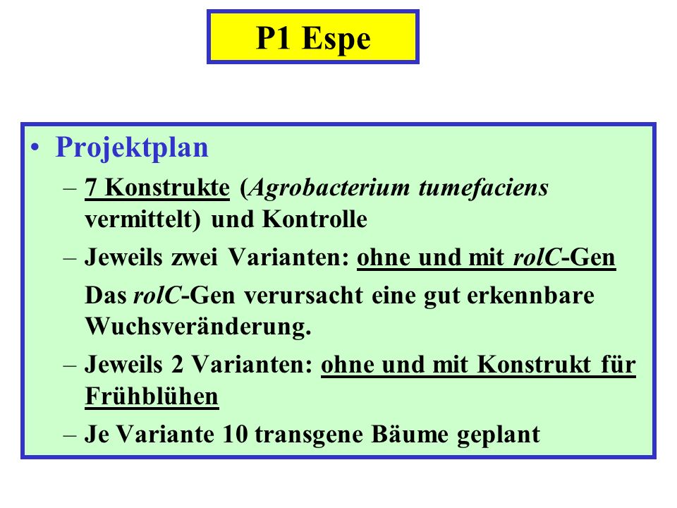 P1 Espe Projektplan. 7 Konstrukte (Agrobacterium tumefaciens vermittelt) und Kontrolle. Jeweils zwei Varianten: ohne und mit rolC-Gen.