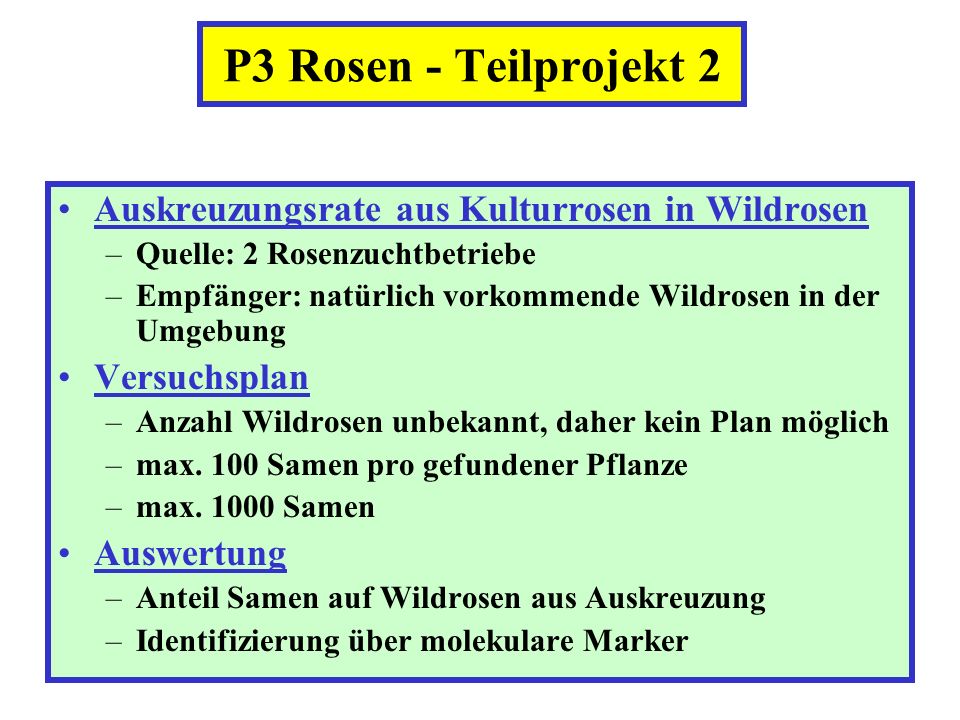 P3 Rosen - Teilprojekt 2 Auskreuzungsrate aus Kulturrosen in Wildrosen