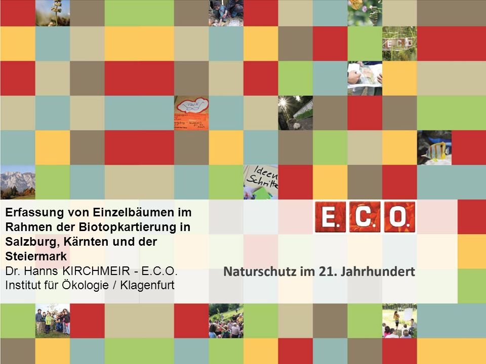 Erfassung von Einzelbäumen im Rahmen der Biotopkartierung in Salzburg, Kärnten und der Steiermark Dr. Hanns KIRCHMEIR - E.C.O. Institut für Ökologie / Klagenfurt