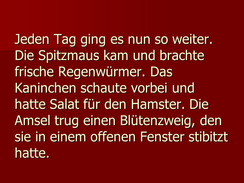 Jeden Tag ging es nun so weiter