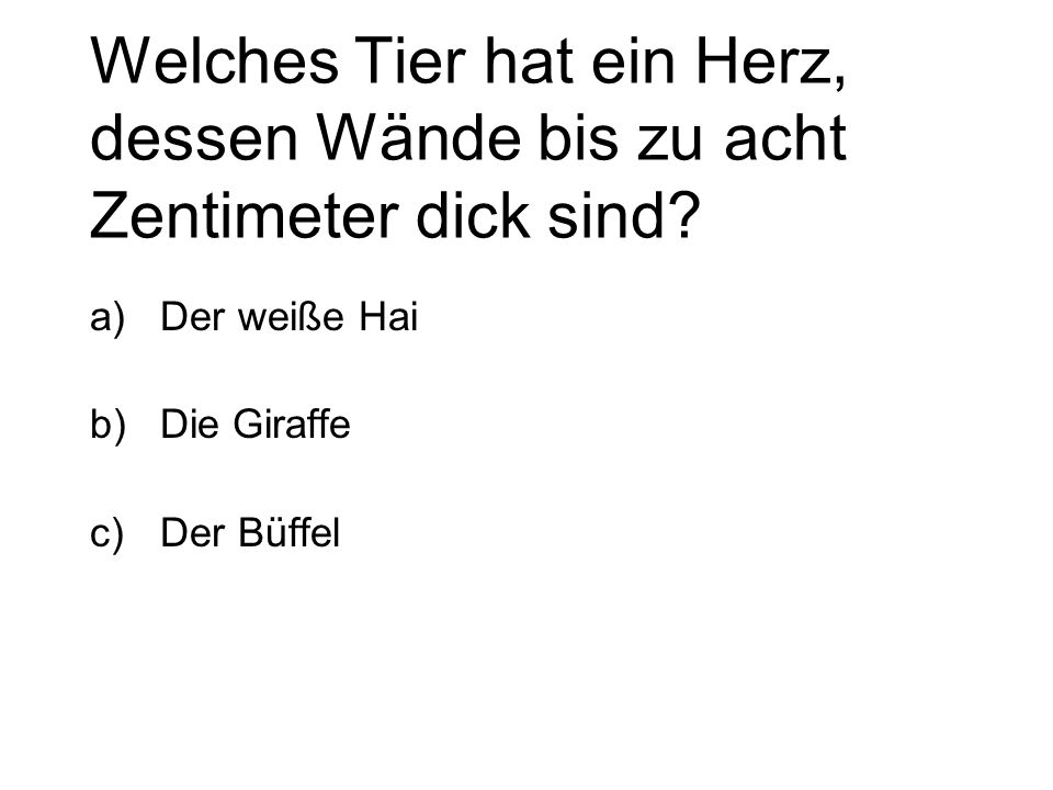 Welches Tier hat ein Herz, dessen Wände bis zu acht Zentimeter dick sind
