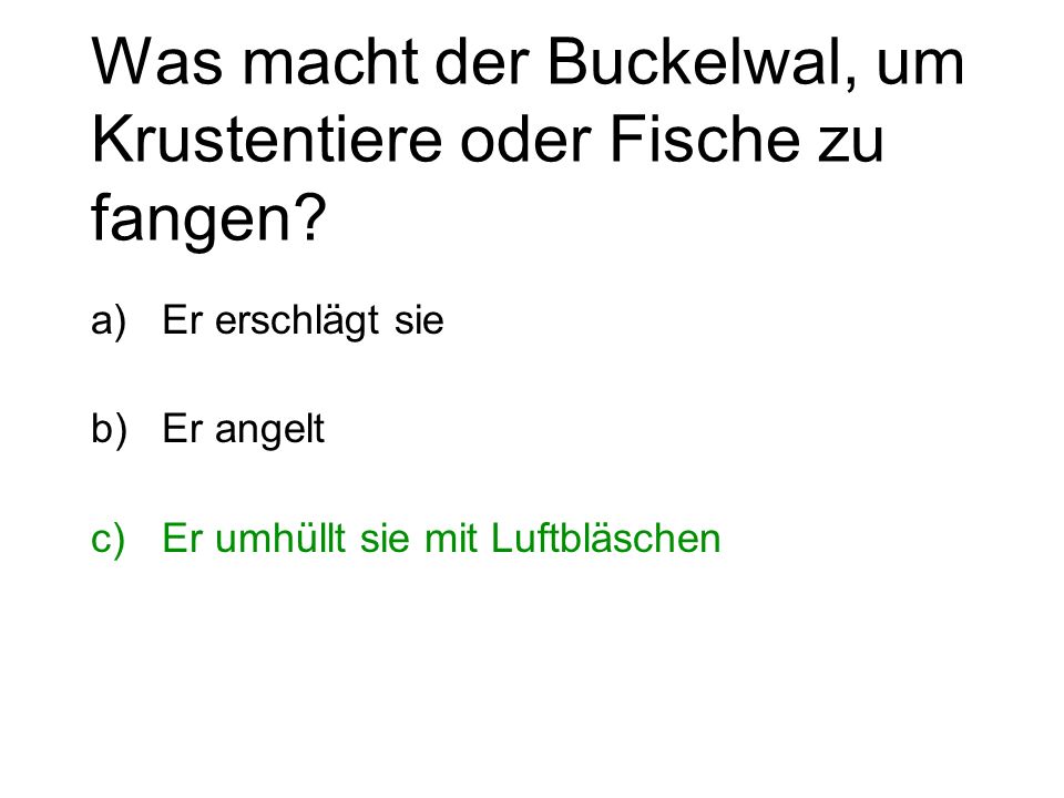 Was macht der Buckelwal, um Krustentiere oder Fische zu fangen