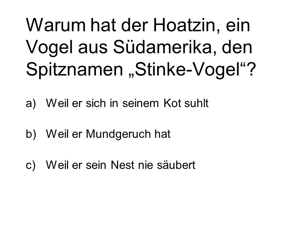 Warum hat der Hoatzin, ein Vogel aus Südamerika, den Spitznamen „Stinke-Vogel