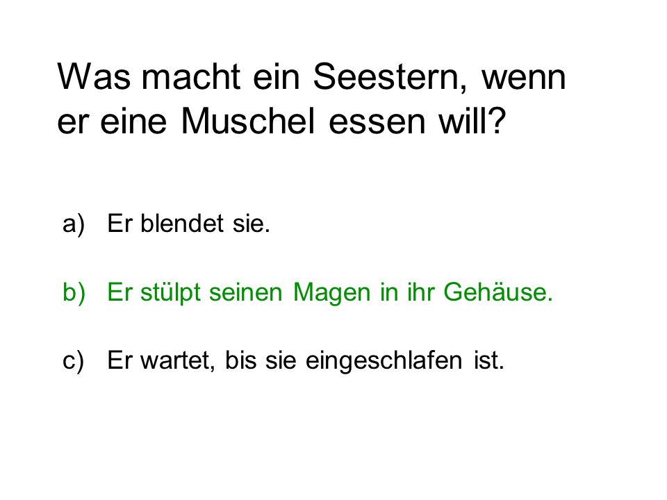 Was macht ein Seestern, wenn er eine Muschel essen will
