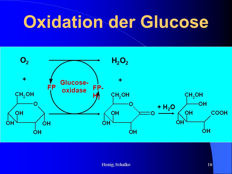 Oxidation der Glucose O2 H2O2 + Glucose-oxidase FP FP-H2 + H2O