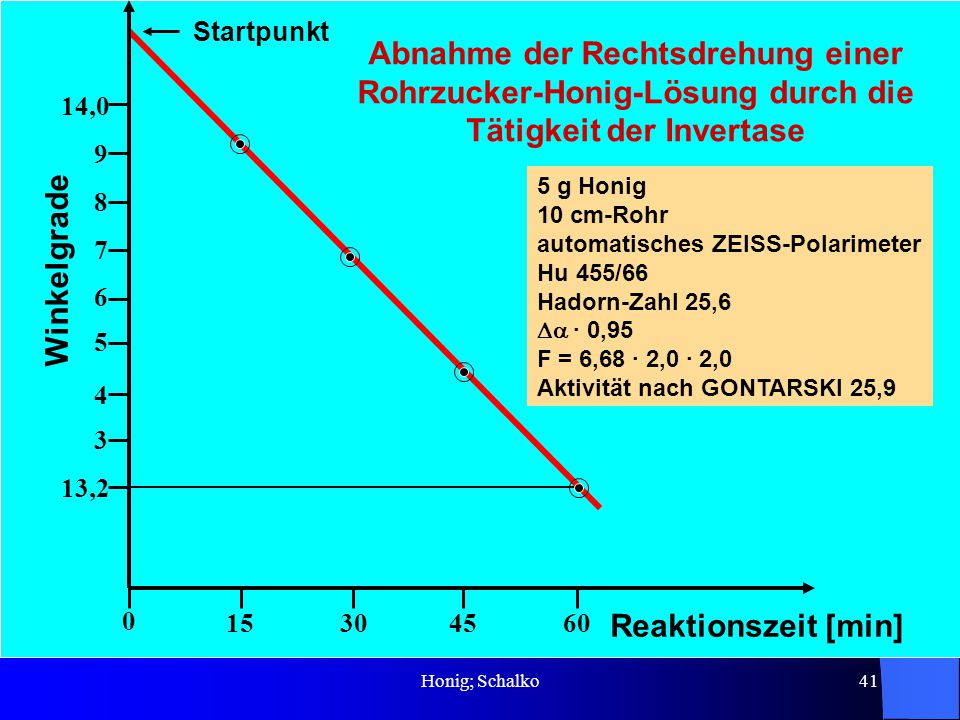 Startpunkt Abnahme der Rechtsdrehung einer Rohrzucker-Honig-Lösung durch die Tätigkeit der Invertase.