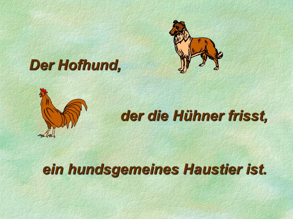 Der Hofhund, der die Hühner frisst, ein hundsgemeines Haustier ist.