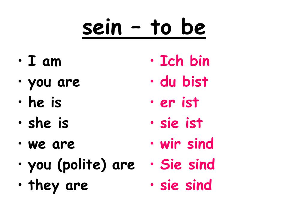 sein – to be I am you are he is she is we are you (polite) are