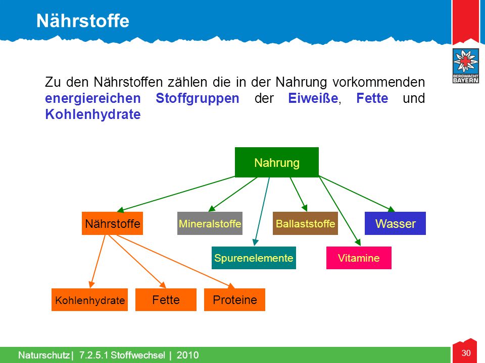 Nährstoffe Zu den Nährstoffen zählen die in der Nahrung vorkommenden energiereichen Stoffgruppen der Eiweiße, Fette und Kohlenhydrate.
