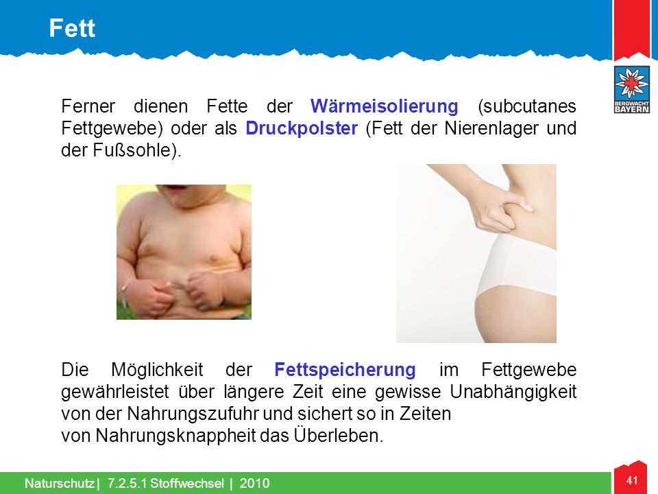 Fett Ferner dienen Fette der Wärmeisolierung (subcutanes Fettgewebe) oder als Druckpolster (Fett der Nierenlager und der Fußsohle).