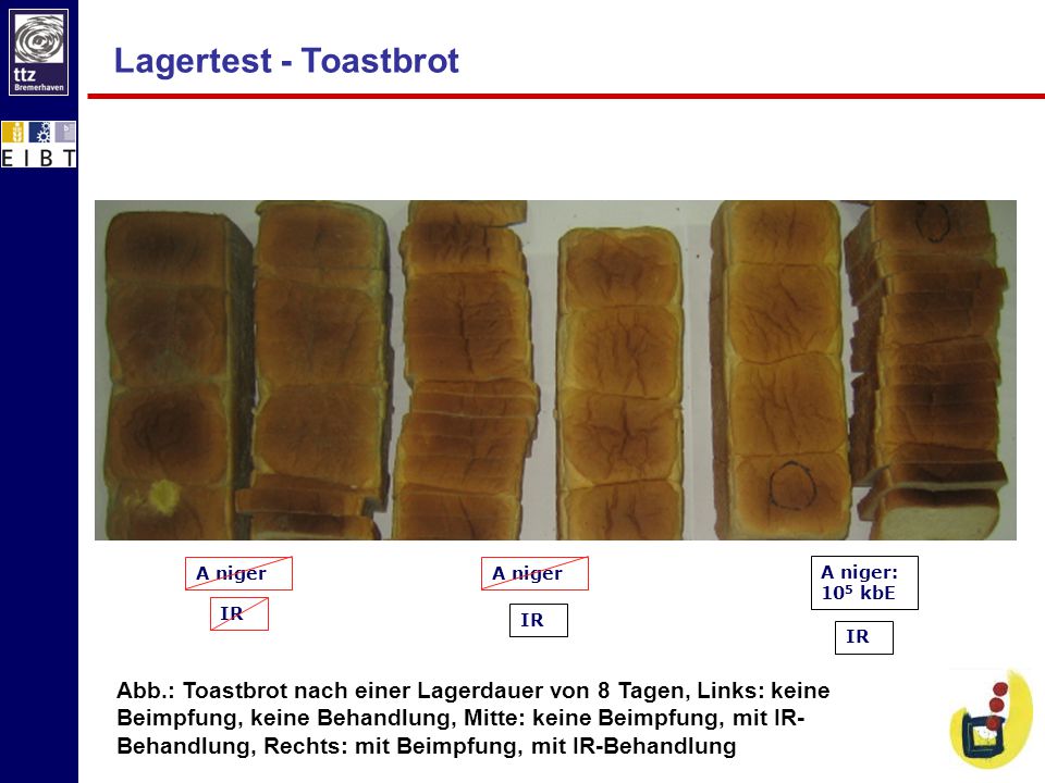 Lagertest - Toastbrot IR. A niger. A niger. IR. IR. A niger: 105 kbE.