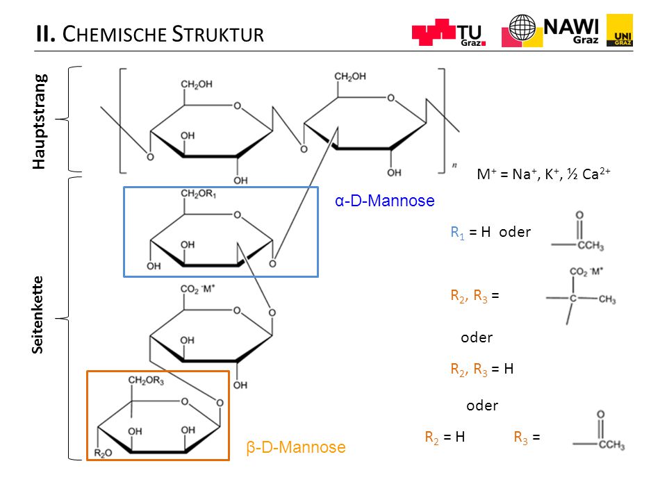 II. Chemische Struktur Hauptstrang M+ = Na+, K+, ½ Ca2+ α-D-Mannose
