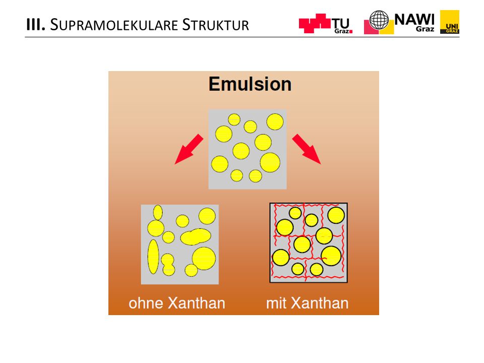 III. Supramolekulare Struktur